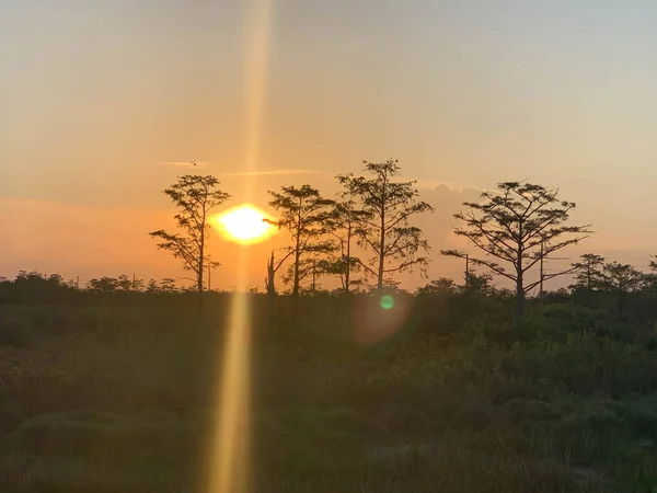 Färgglada Träsk Solnedgång Louisiana Reflektera Över Amerikanska Värden — Stockfoto