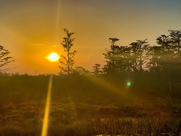 アメリカの価値観を反映してルイジアナ州のカラフルな沼の夕日 — ストック写真