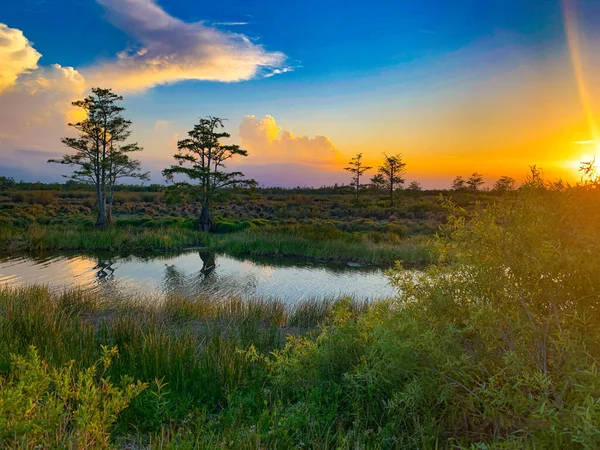 Färgglada Träsk Solnedgång Louisiana Reflektera Över Amerikanska Värden — Stockfoto