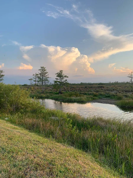 Bunte Sumpfsonnenuntergänge Louisiana Reflektieren Amerikanische Werte — Stockfoto