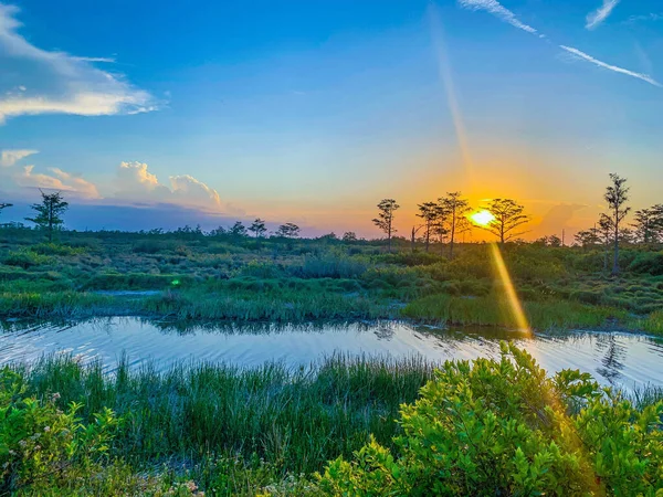 アメリカの価値観を反映してルイジアナ州のカラフルな沼の夕日 — ストック写真