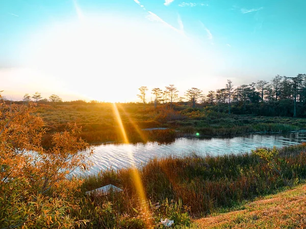 Bunte Sumpfsonnenuntergänge Louisiana Reflektieren Amerikanische Werte — Stockfoto