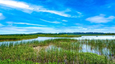 Mobile Bay, Alabama 'daki Meaher State Park