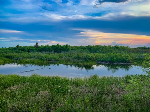 夕阳西下在河口的沼泽地里 — 图库照片