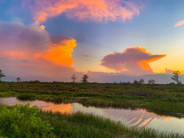 Colorful swamp sunset in Louisiana reflecting on American values.