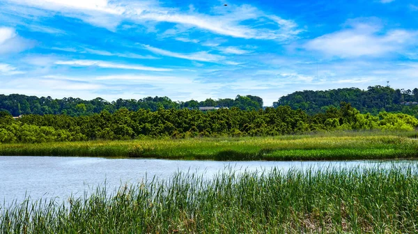 Meaher State Park Mobile Bay Alabama — Stock fotografie