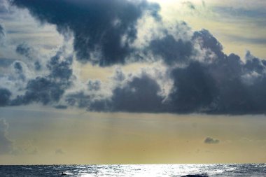 Kaplankuyruğu Sahili 'nde gün batımı San Marco Adası, Florida