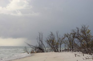 Kaplankuyruğu Sahili 'nde gün batımı San Marco Adası, Florida