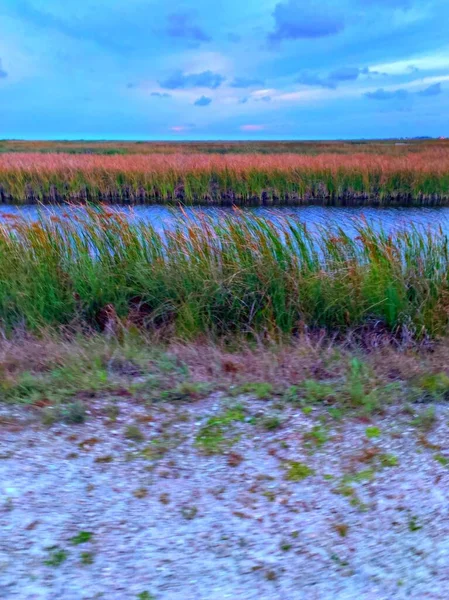 沼泽地里的青草和暴风雨般的天空 — 图库照片
