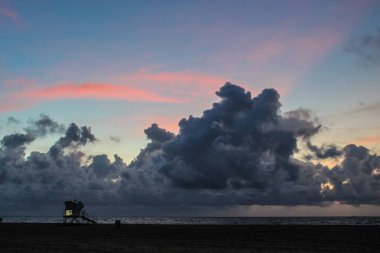 İguana iskelede kendini ısıtıyor.