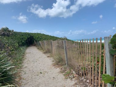 Jüpiter, Florida 'daki Blowing Rocks' ta bir deniz üzümü tünelinin altındaki patika.
