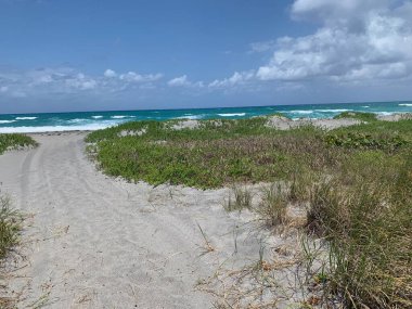 Jüpiter, Florida 'daki Blowing Rocks' ta bir deniz üzümü tünelinin altındaki patika.