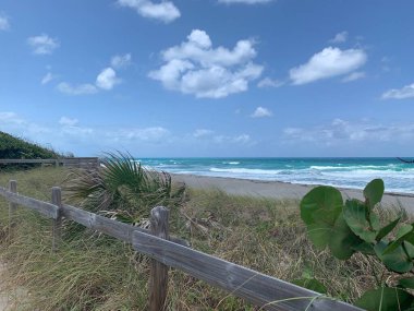 Jüpiter, Florida 'daki Blowing Rocks' ta bir deniz üzümü tünelinin altındaki patika.