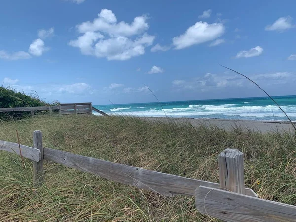 Weg Onder Een Tunnel Van Zeedruiven Blowing Rocks Preserve Jupiter — Stockfoto