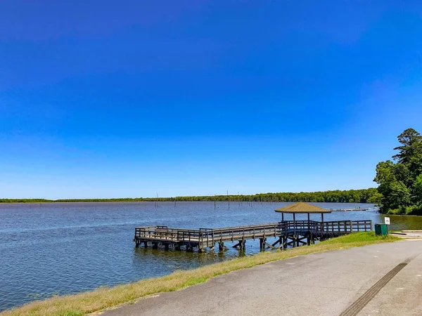 Arkansas 'taki Cane Creek Gölü' nde ölü selvi ağaçları