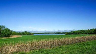 Kansas 'ın çayırlarında uzun otlar