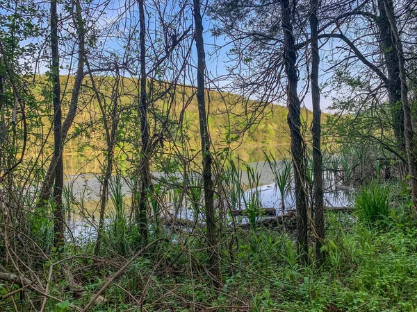 Reflection Mountain Lake Clear Day — Stock Photo, Image