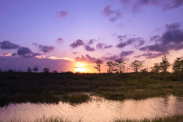 野生の湿地帯の紫とピンクの夕日 — ストック写真