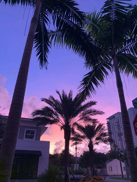 Puesta Sol Camino Tropical Ciudad — Foto de Stock