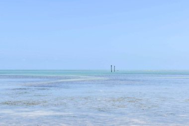 Florida Keys 'te gelgit var.