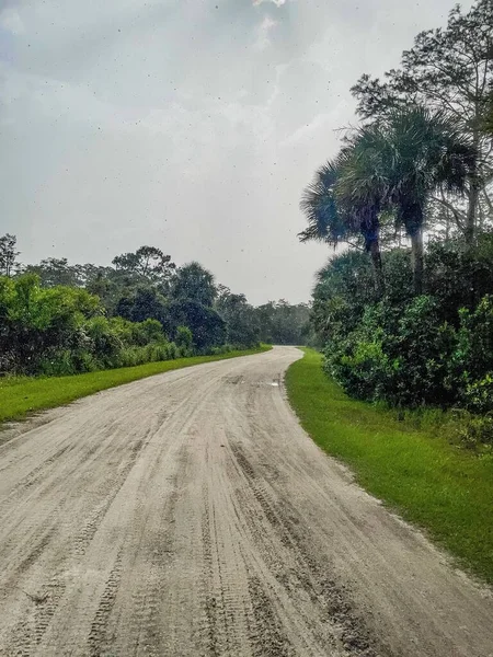 Sommar Åska Dusch Våtmarker Träsk Florida — Stockfoto