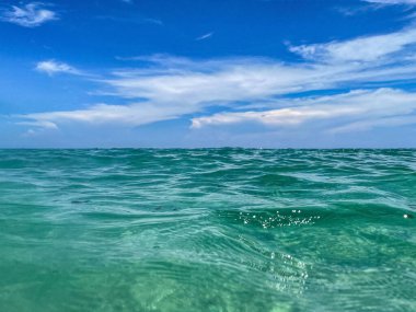 Florida sahilinin berrak tropikal suları
