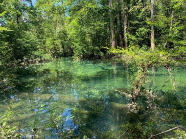 Florida 'nın turkuaz suları