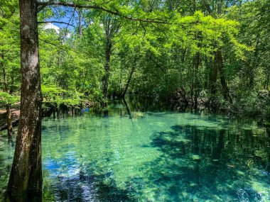 Florida 'nın turkuaz suları