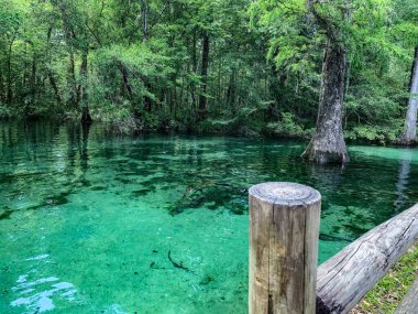 Florida 'nın turkuaz suları