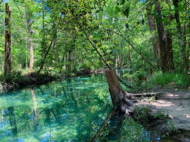 Florida 'nın turkuaz suları