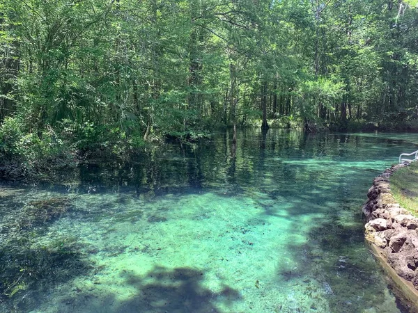 Acque Turchesi Delle Sorgenti Della Florida — Foto Stock