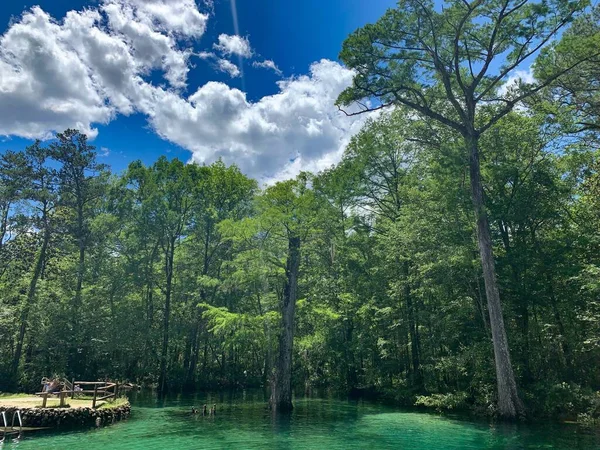 Acque Turchesi Delle Sorgenti Della Florida — Foto Stock