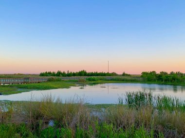 Sweetwater wetlands park at sunset clipart