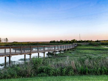 Günbatımında Sweetwater sulak alanları parkı