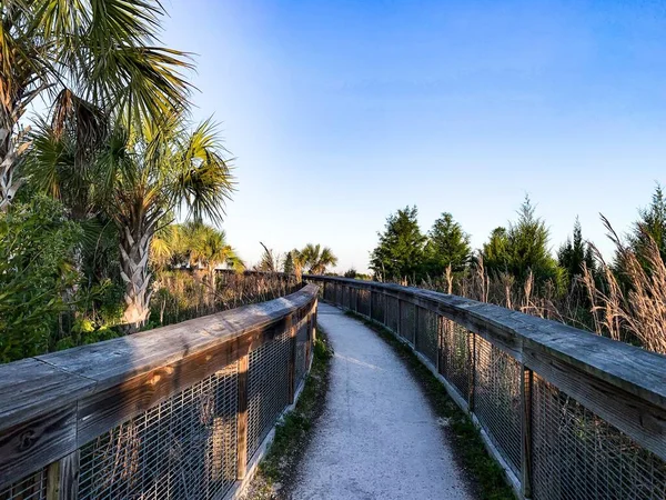 Sweetwater Wetlands Park Bij Zonsondergang — Stockfoto