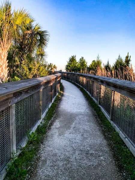 Sweetwater Wetlands Park Bij Zonsondergang — Stockfoto