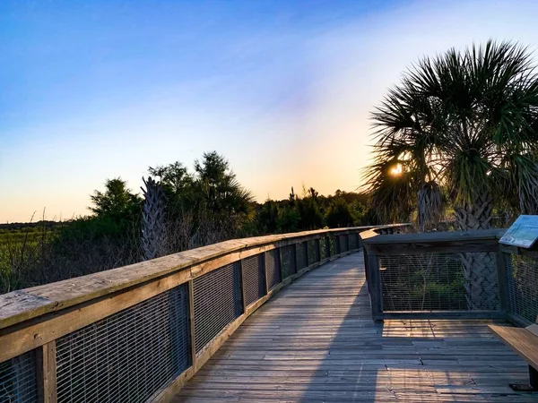 Sweetwater Wetlands Park Bij Zonsondergang — Stockfoto