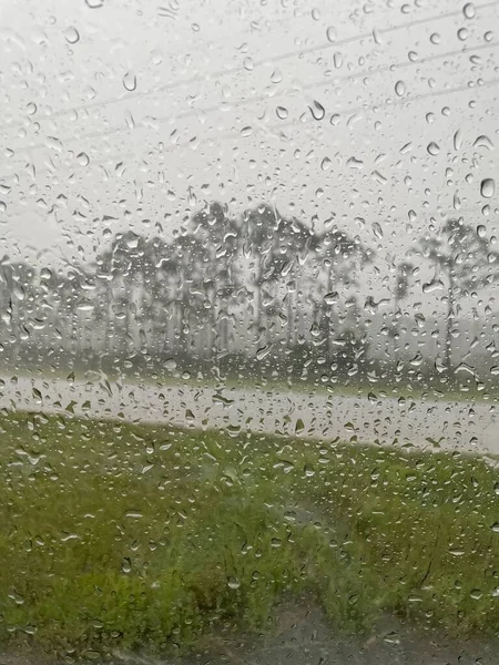 Jour Été Floride Pluvieux Dans Les Zones Humides — Photo