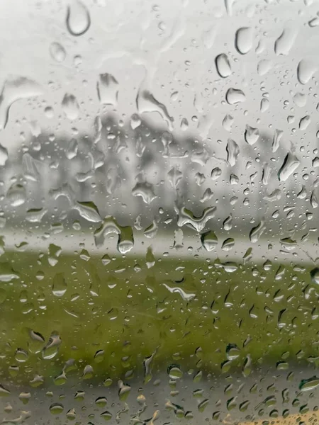 Verregneter Sommertag Florida Feuchtgebieten — Stockfoto