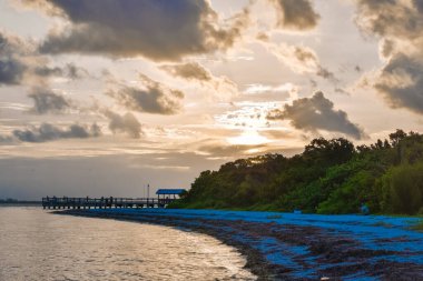 Güneş doğarken Sanibel Adası 'ndaki Deniz Feneri Sahil Parkı