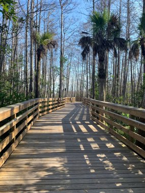 Çimenli sular Florida Palm Beach Bahçeleri 'nde korunuyor.