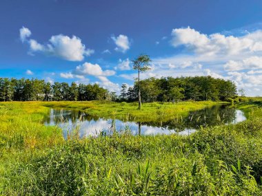 Palm Beach Bahçeleri bataklık nehir manzarası
