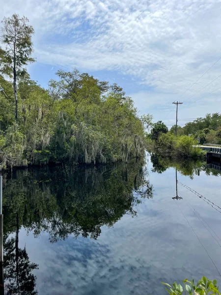 のボードウォークからの沼の反射するヒノキの木の眺め Williams Roadside Park Big Cypress National Press フロリダ州 アメリカ — ストック写真