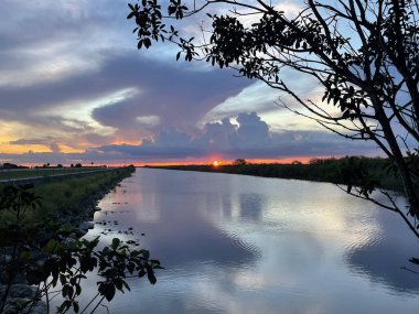 Louisiana 'da kasırga sırasında bataklıkta yağmur bulutları