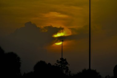 Bulutlu bir günde Güney Florida bataklığında gün doğumu