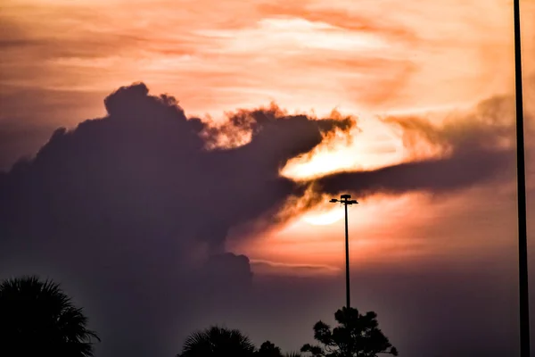 Sunrise South Florida Swamp Cloudy Day — Stock Photo, Image