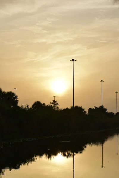 Salida Del Sol Pantano Del Sur Florida Día Nublado — Foto de Stock