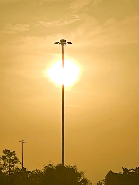 Salida Del Sol Pantano Del Sur Florida Día Nublado — Foto de Stock