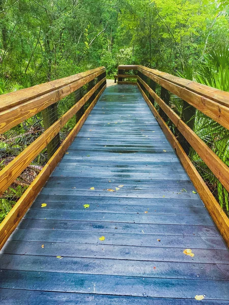 Paseo Marítimo Madera Elevado Para Hacer Senderismo Rainbow Springs — Foto de Stock