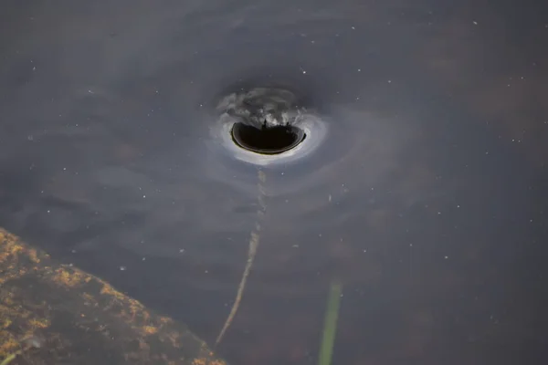 Cyclone Eau Forme Tourbillon Dans Les Everglades — Photo